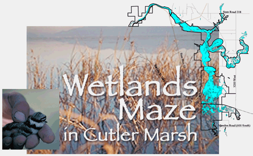 Click to visit The Wetland Maze site on BridgerlandAudubon.org in conjunction with Utah Power & Light/Rocky Mountain Power-PacifiCorp