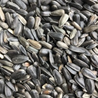 Black Oil Sunflower Seed Courtesy & Copyright Hilary Shughart, Photographer