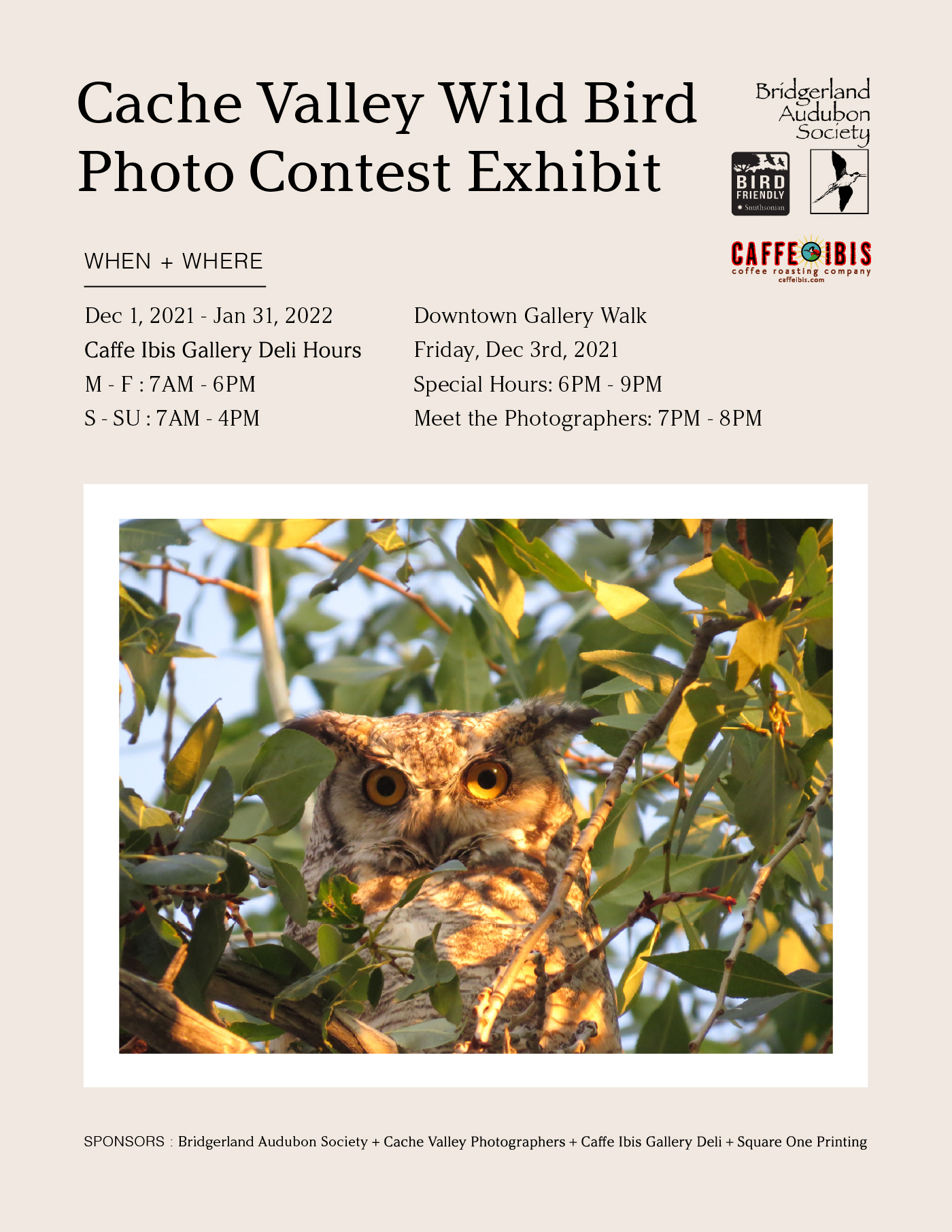 Cache Valley Wild Bird Photo Contest: View the winners of the Cache Valley Wild Bird Photo Contest. Click to view all entries.