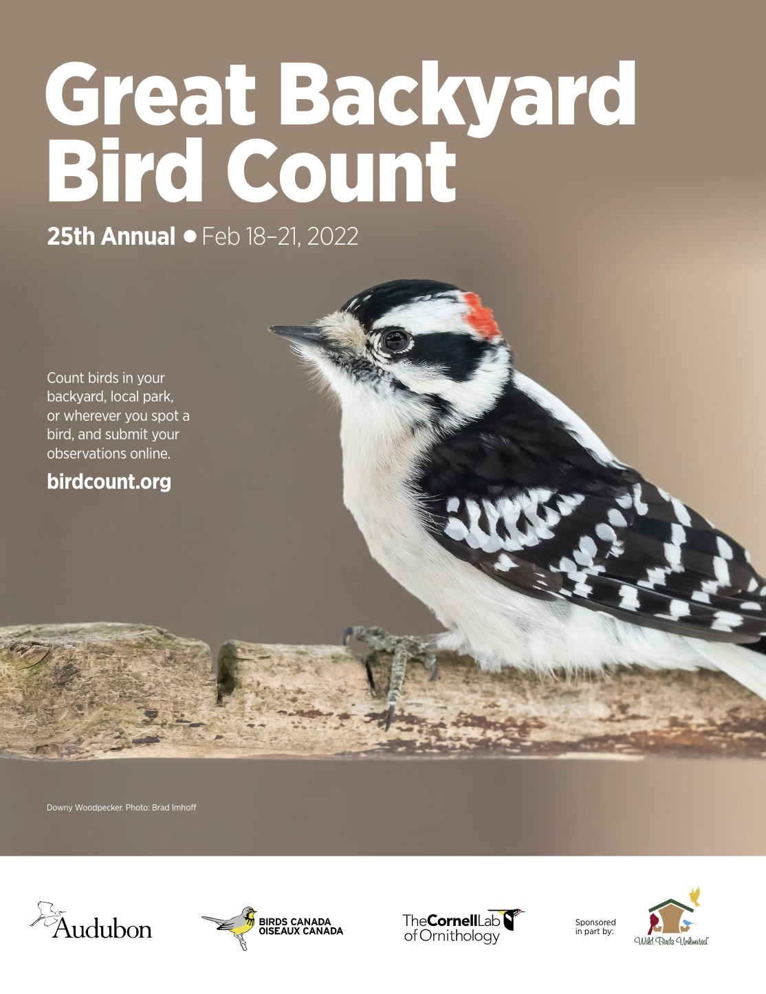 Project Feederwatch: Great Backyard Bird Count 25th Annual Feb 18-21, 2022