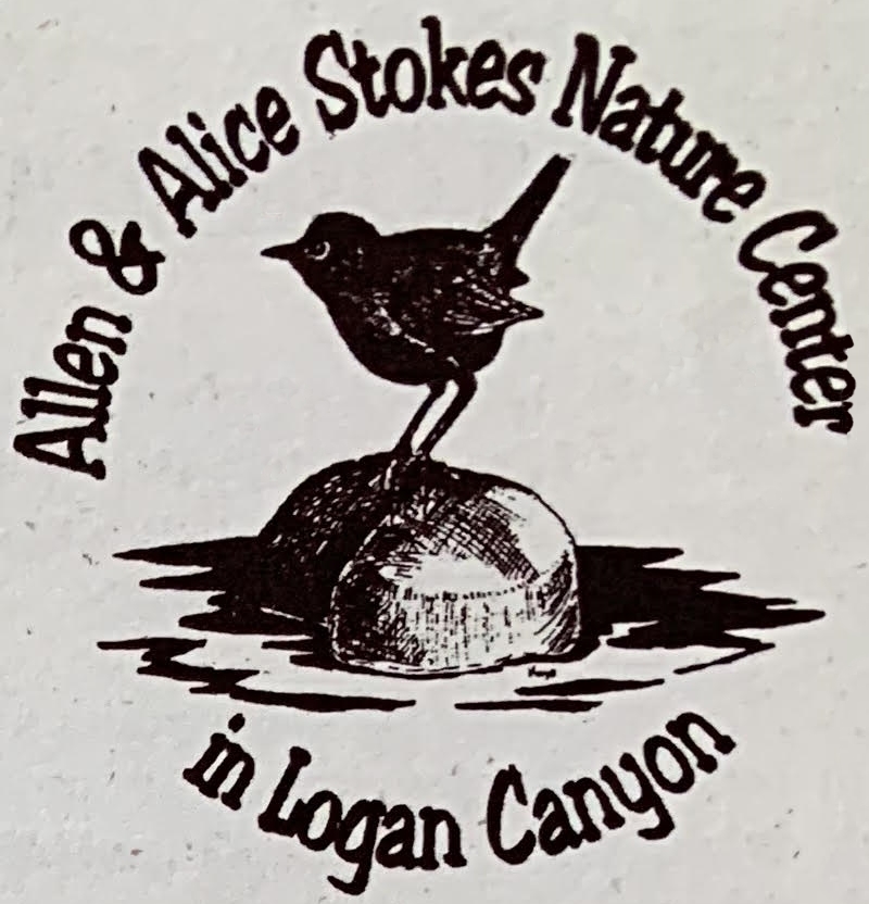 Stokes Nature Center: 1997 Stokes Nature Center Logo Courtesy & Copyright Kayo Robertson, Illustrator