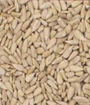 Sunflower Hearts (20# no mess, no waste!)