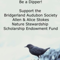 Be a Dipper! Support the Bridgerland Audubon Society Allen & Alice Stokes Nature Stewardship Scholarship Endowment Fund Image Courtesy US FWS, Dave Menke, Photographer