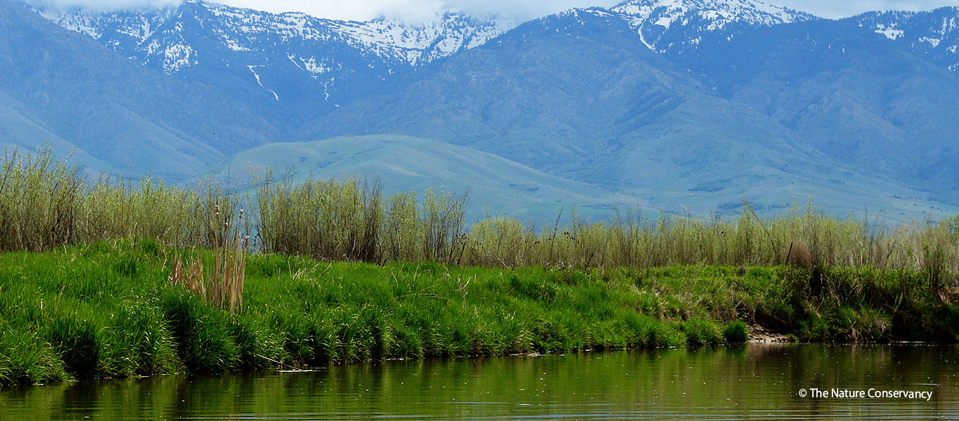 Bear River Streambank Image Courtesy The Nature Conservancy