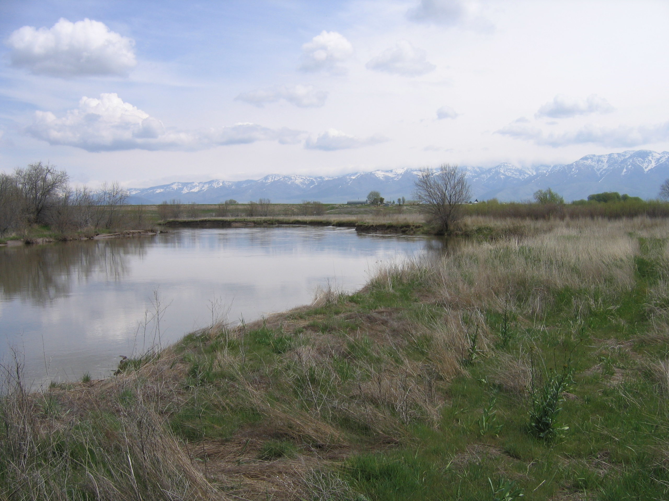 Bear River Bottoms
Images Courtesy Bryan Dixon