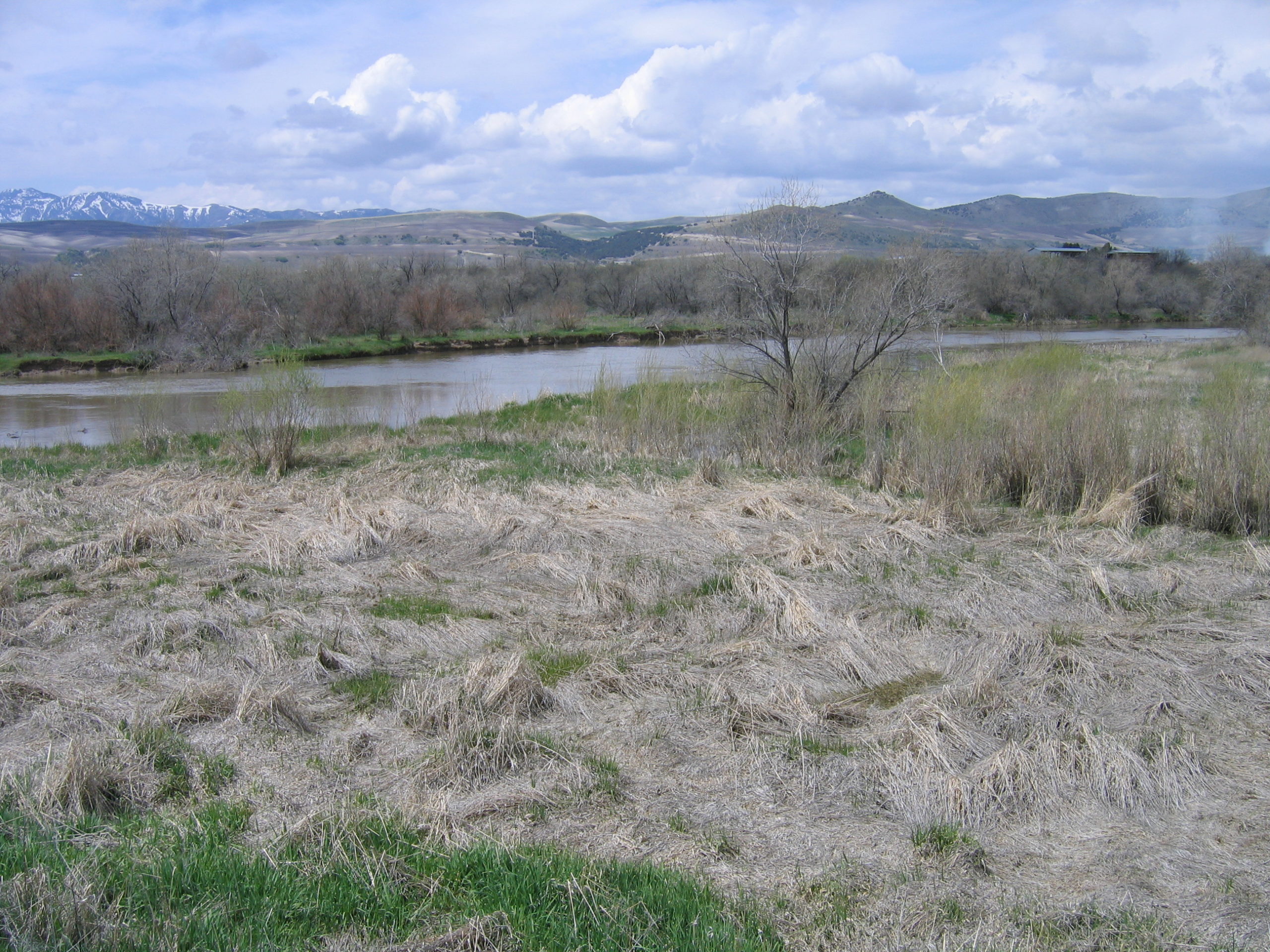 Bear River Bottoms
Images Courtesy Bryan Dixon