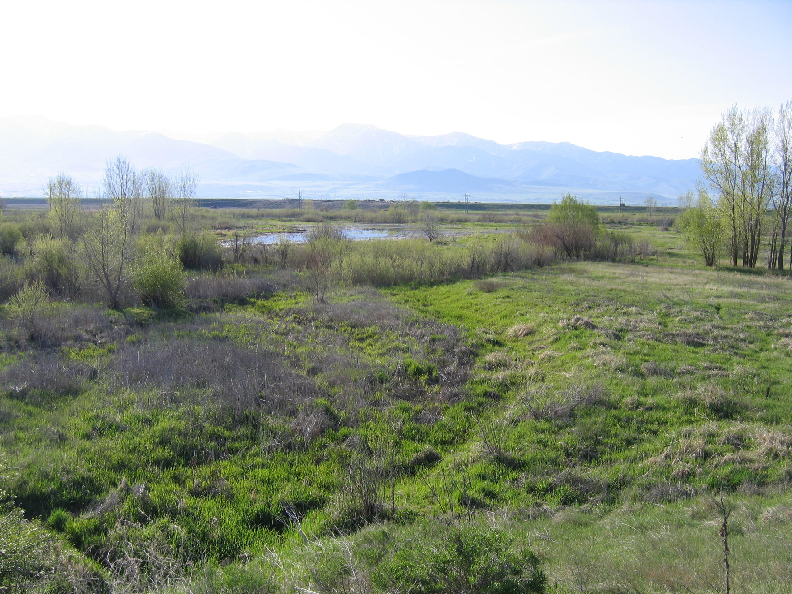 Bear River Bottoms
Images Courtesy Bryan Dixon