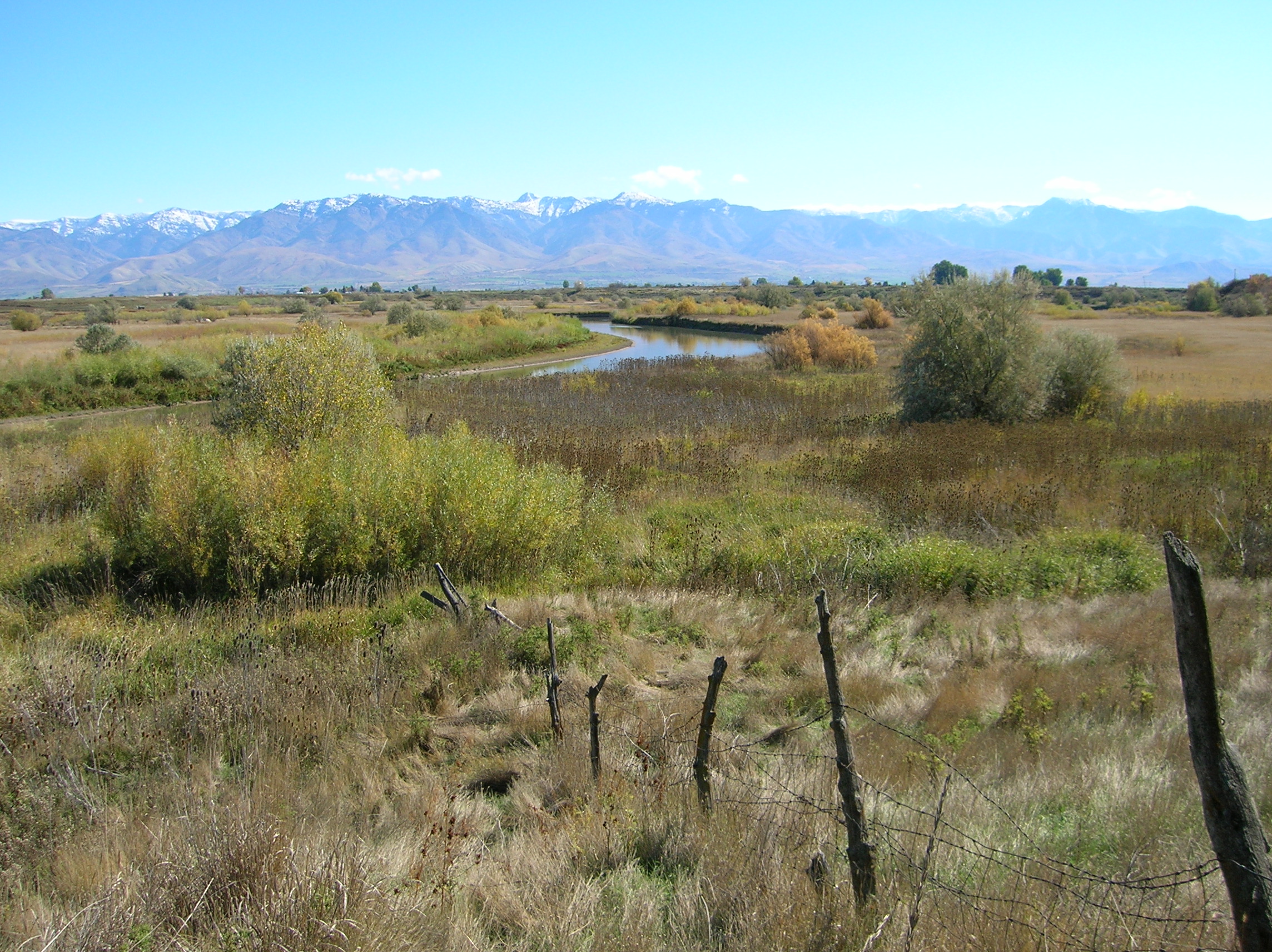 Bear River Bottoms
Images Courtesy Bryan Dixon