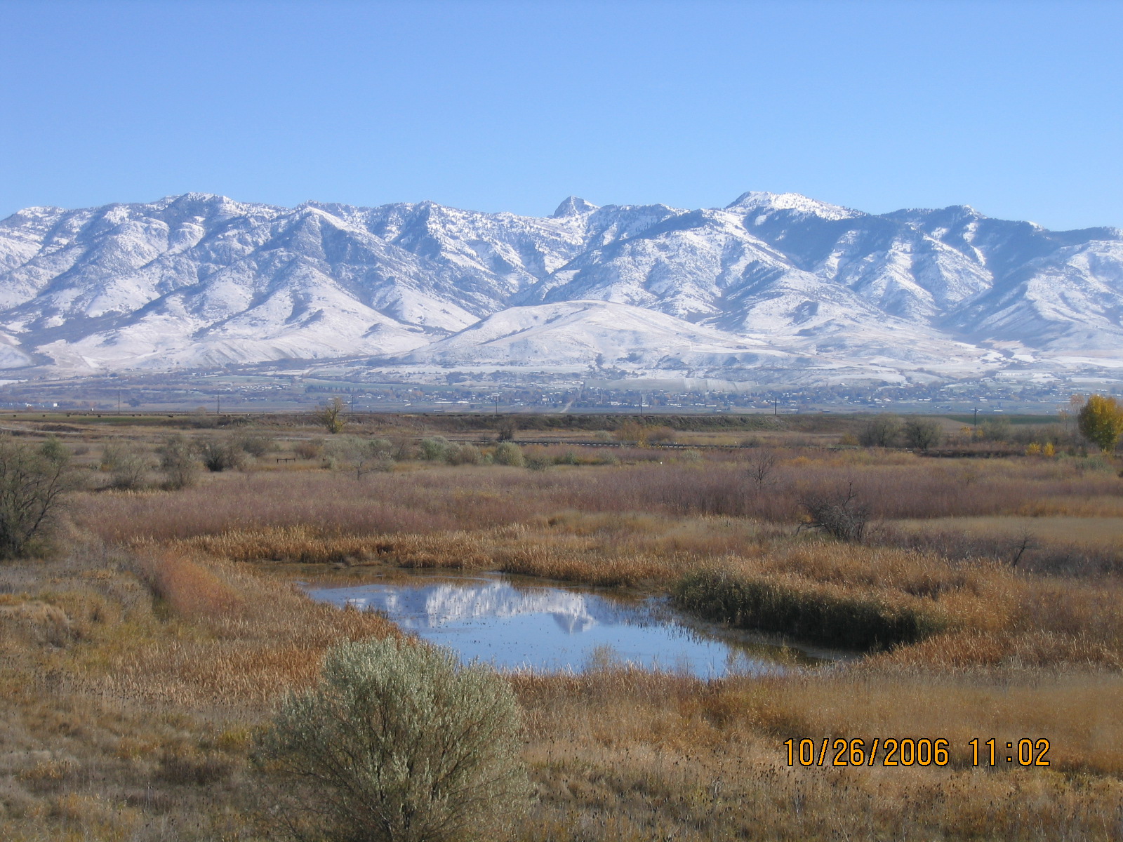 Bear River Bottoms
Images Courtesy Bryan Dixon