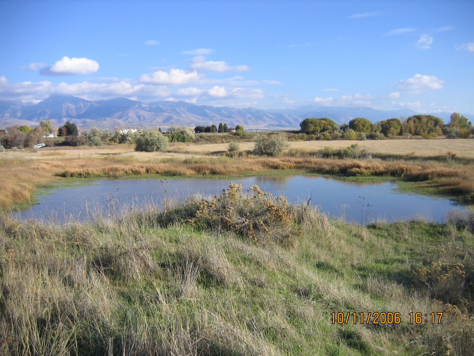 Bear River Bottoms
Images Courtesy Bryan Dixon