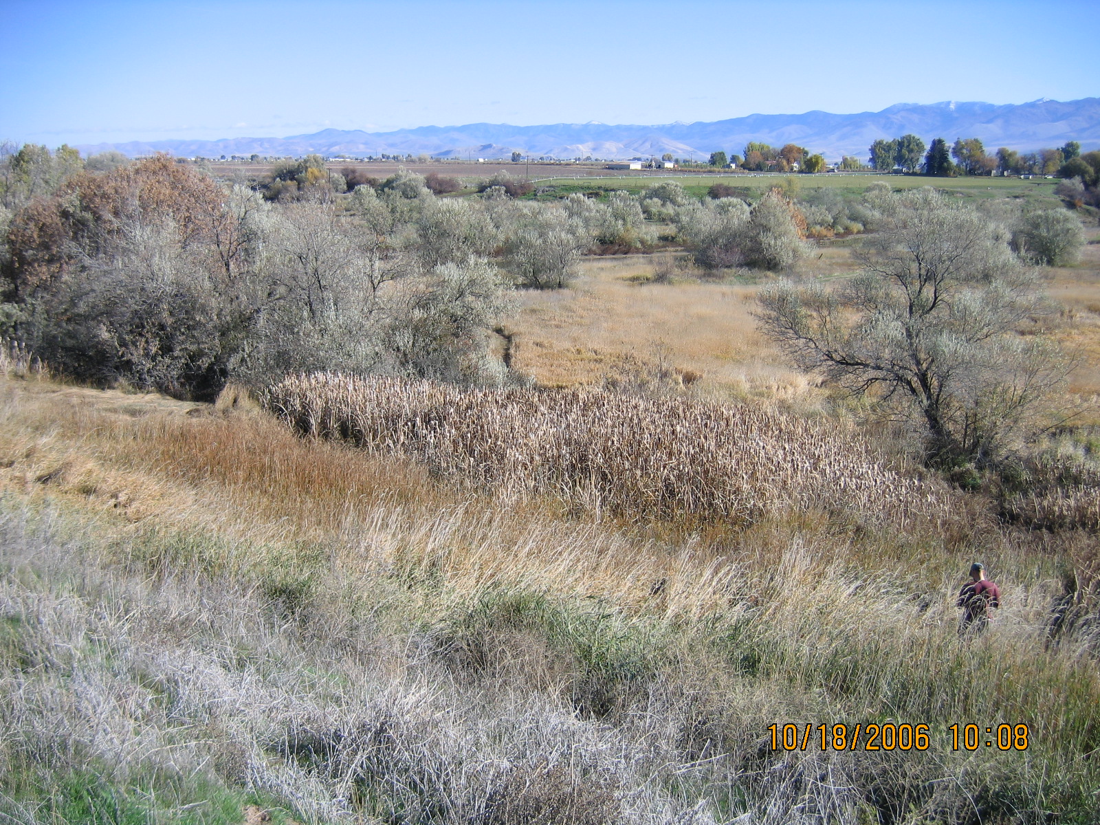 Bear River Bottoms
Images Courtesy Bryan Dixon