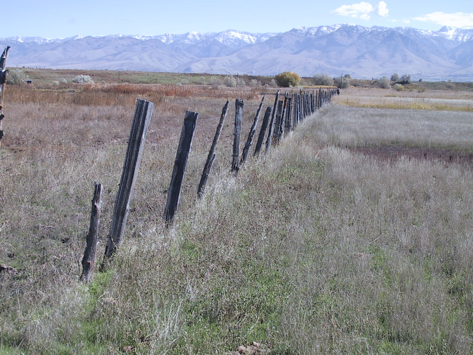 Bear River Bottoms
Images Courtesy Bryan Dixon