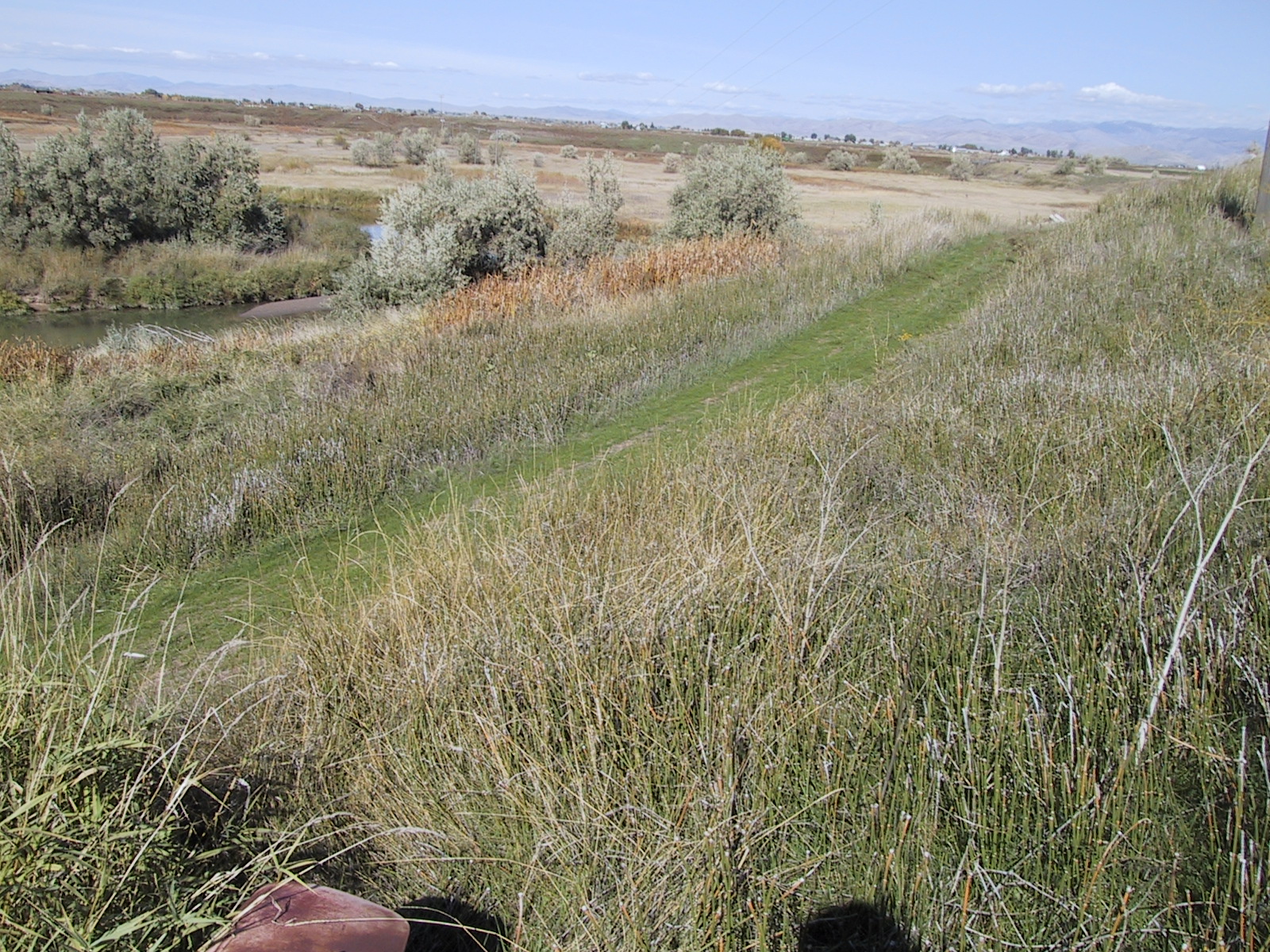 Bear River Bottoms
Images Courtesy Bryan Dixon