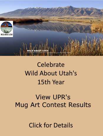 Celebrate Wild About Utah's 15th Year. View the UPR Mug Art Contest Submissions, Click for Details. Image: Courtesy & Copyright Mike Fish