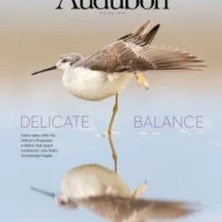 Audubon Magazine Cover Spring 2024 Copyright National Audubon