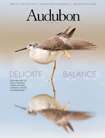 Audubon Magazine Cover Spring 2024 Copyright National Audubon