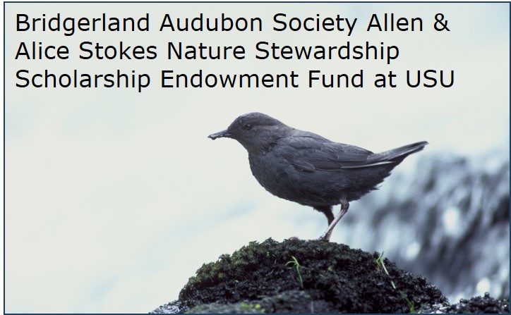 Bridgerland Audubon Allen & Alice Stokes Nature Stewardship Scholarship Endowment Fund