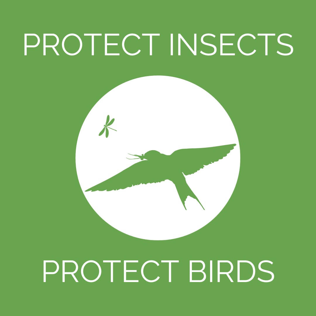 Protect Insects, Protect Birds, World Migratory Bird Day Campaign 2024, Contains Content Courtesy World Migratory Bird Day a.k.a. Environment for the Americas