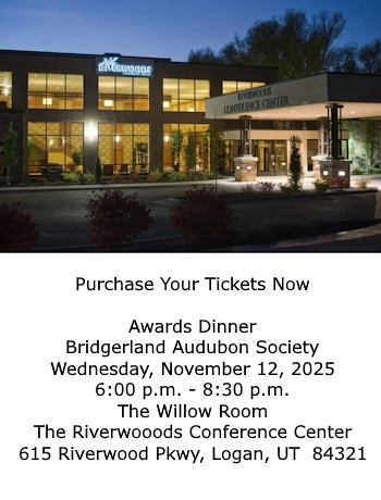 Purchase tickets to the Bridgerland Audubon Society Awards Dinner - Nov 12, Riverside Conference Center, 615 Riverwood Pkwy, Logan, UT