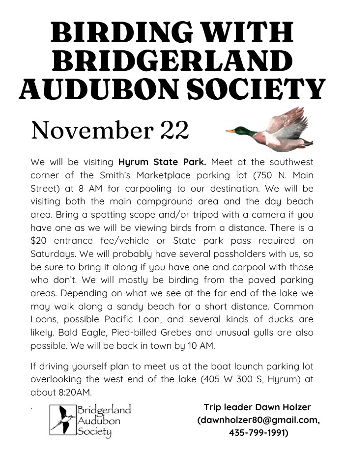Bridgerland Audubon--Nov 22, Birding with Bridgerland Audubon at the Hyrum Reservoir and State Park