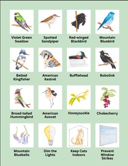 Bird-friendly Bingo Card, Courtesy and copyright Meg Kast, Designer