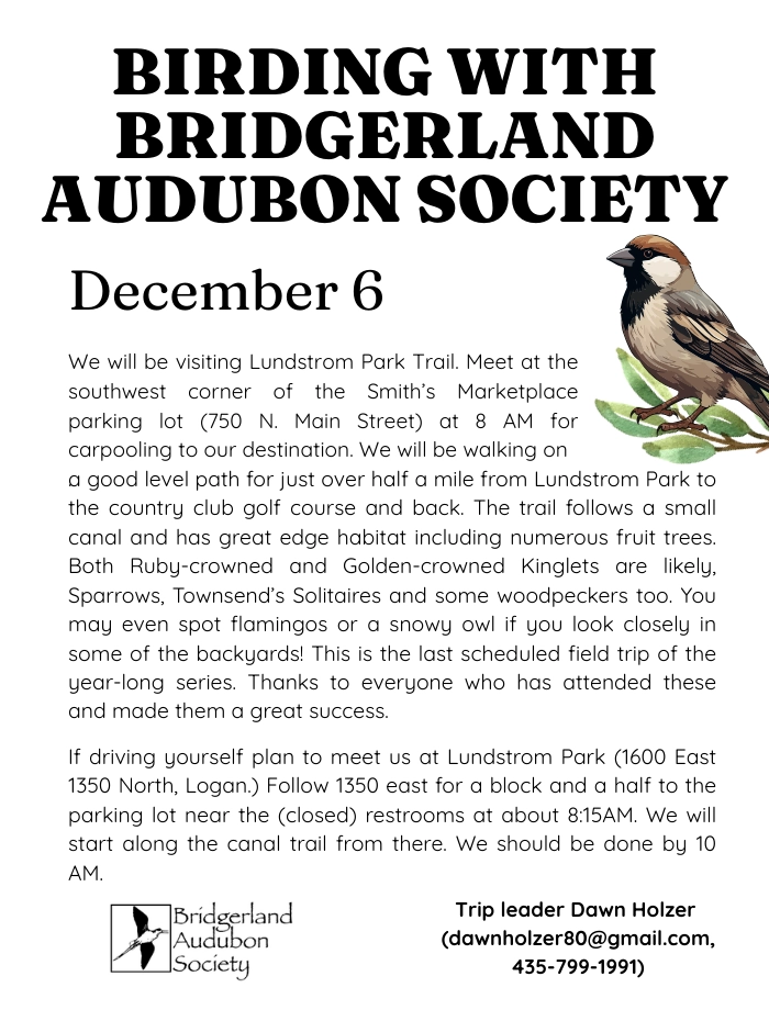 Click for a larger view in a new tab or window Dec 6, Birding with Bridgerland Audubon at the Lundstrom Park Trail 8 am Smith's Marketplace Parking Lot, SW Corner, 750 N Main St. Logan UT 84321 Dawn Holzer, Leader dawnholzer80@gmail.com, 435-799-1991 - Art per Meg Kast