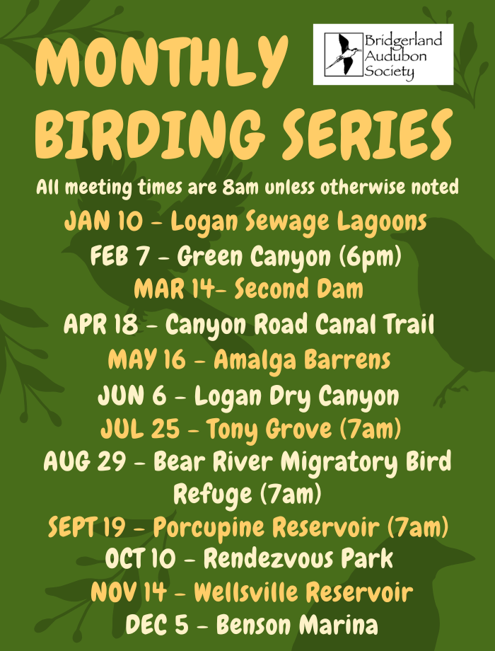 Birding with Bridgerland Audubon
Fieldtrip Series