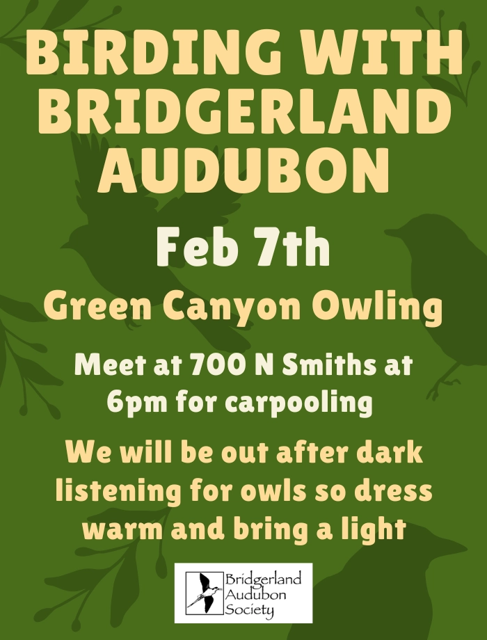 Click for a larger view in a new tab or window Birding with Bridgerland Audubon--Green Canyon Owling