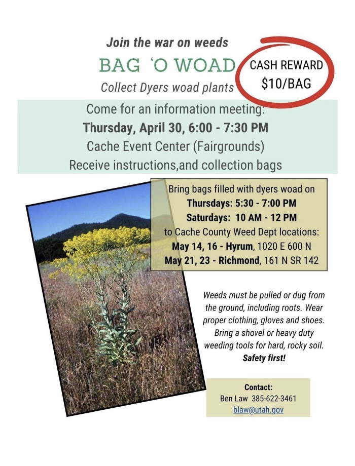 Bag-o-Woad Bounty Program, Cache County Weed Dept, Kickoff April 30, 2026, Dropoff Hyrum May 14, 16, Richmond, May 21, 23