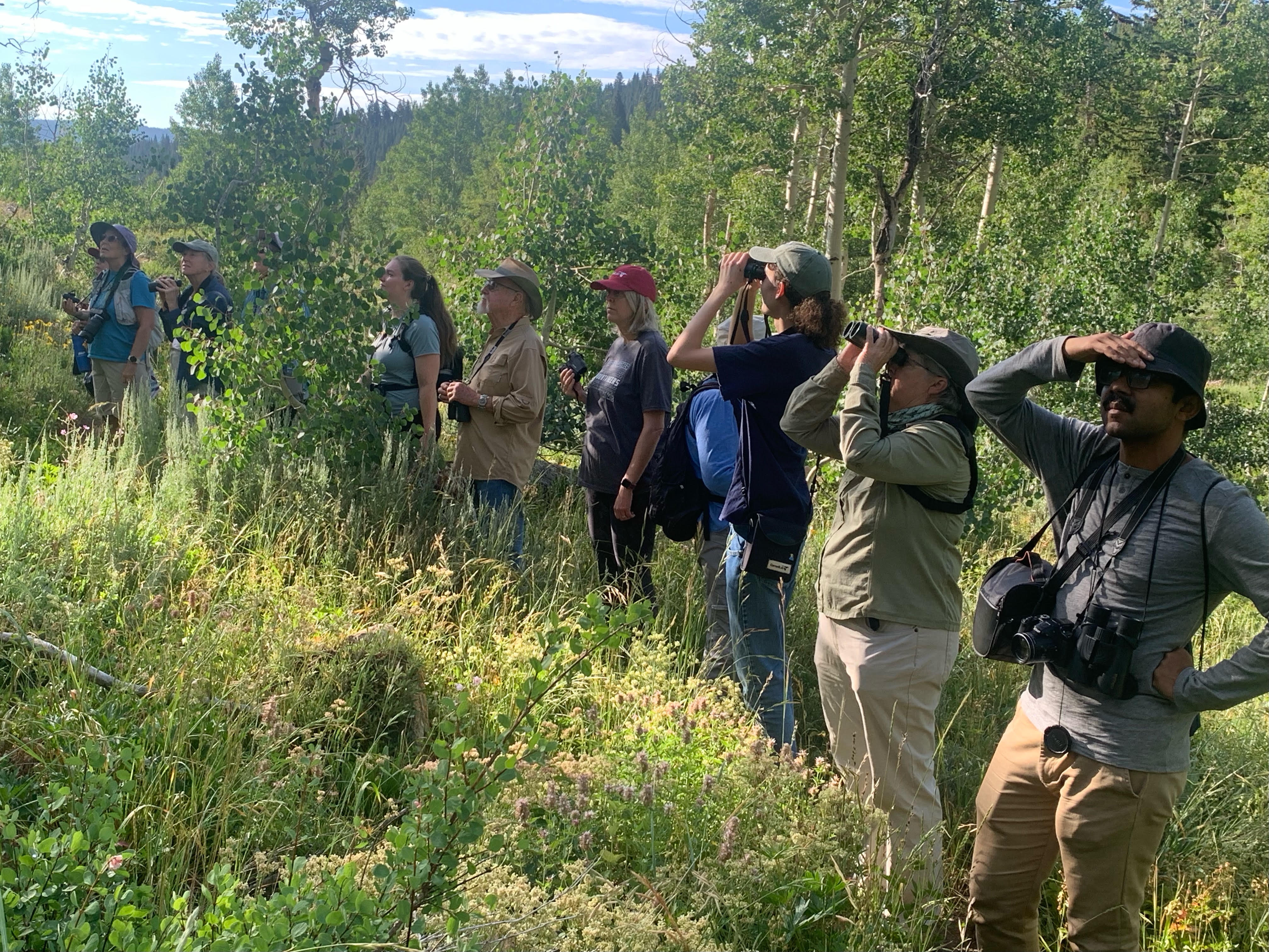 Birding Tony Grove with Jack Greene
Courtesy & Copyright Jack Greene, Photographer