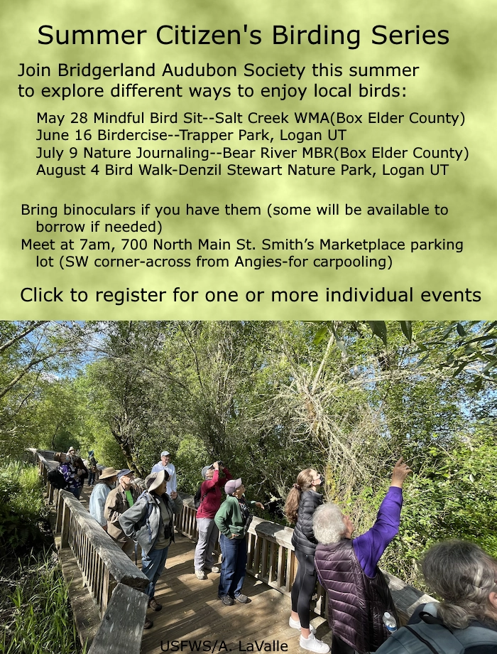 Citizen’s Birding Series