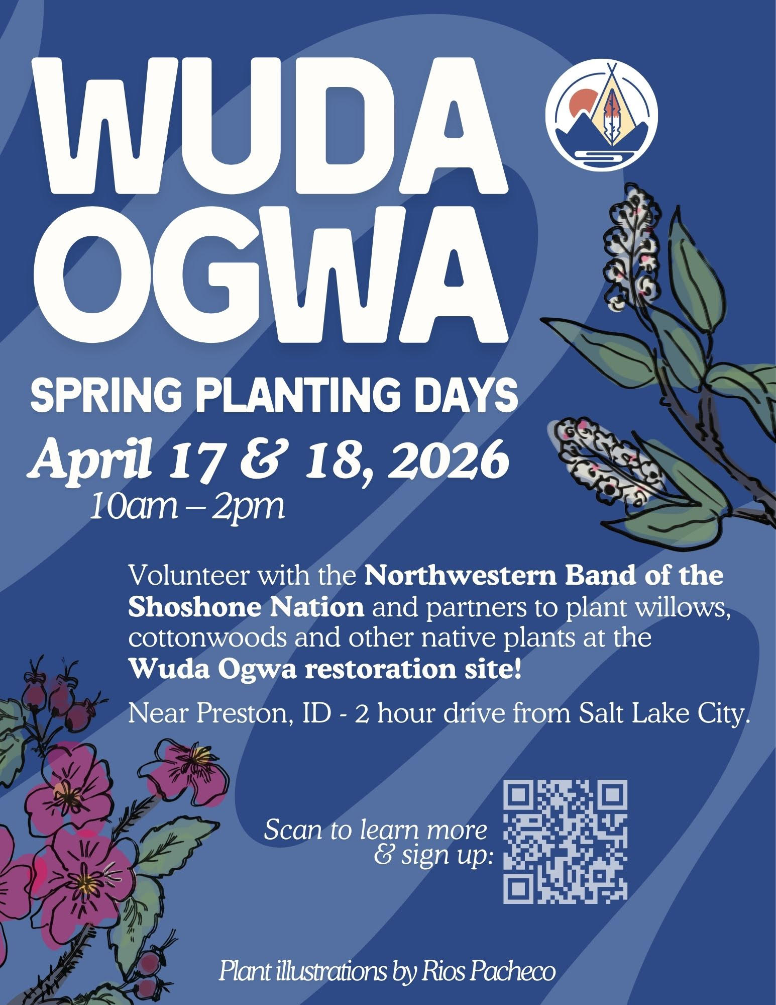 Wuda Ogwa Spring Planting Days Courtesy Northwestern Band of the Shoshone Nation. Plant illustrations by Rios Pacheco