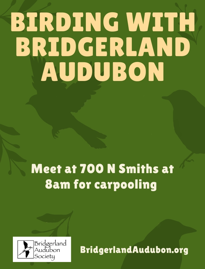 May 16, Birding with Bridgerland Audubon at the Amalga Barrens