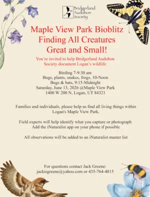 May 13 Logan Maple View Park Bioblitz