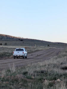 Click to view a larger image in a new tab or window Look in front of the parked truck. The Greater Sage Grouse use the road and nearby as their lek Courtesy & Copyright Sue Salmon, Photographer