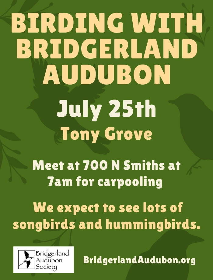 Birding with Bridgerland Audubon – Tony Grove, Meet at Smith's Marketplace 700 N. Logan, 7:00 am July 25, 2026
