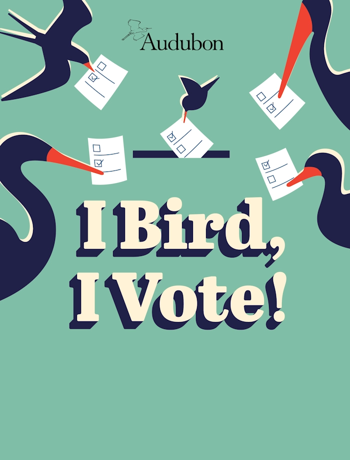 I Bird, I Vote!, Pledge to Vote, Pledge to Vote